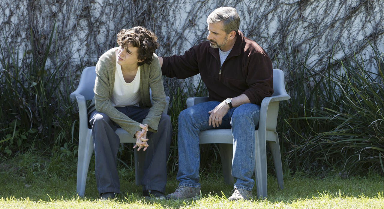 Beautiful Boy (2018, Felix Van Groeningen)