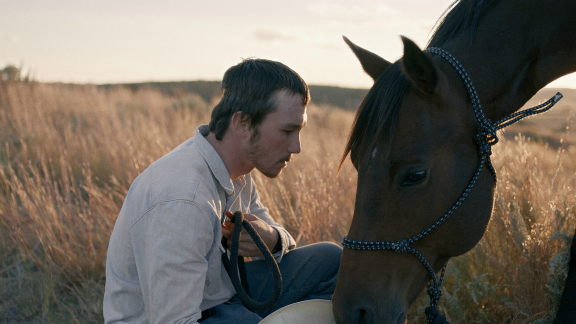 The Rider – Il Sogno di un Cowboy (2017, Chloé Zhao)