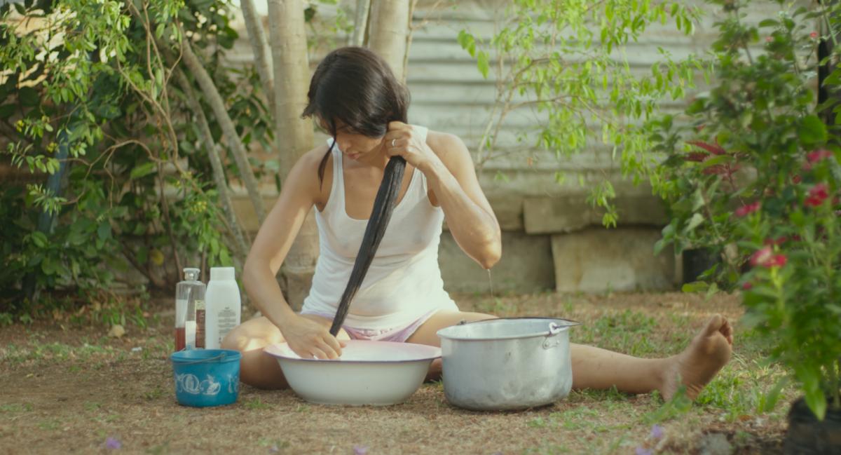 The Awakening of the Ants (2019, Antonella Sudasassi)