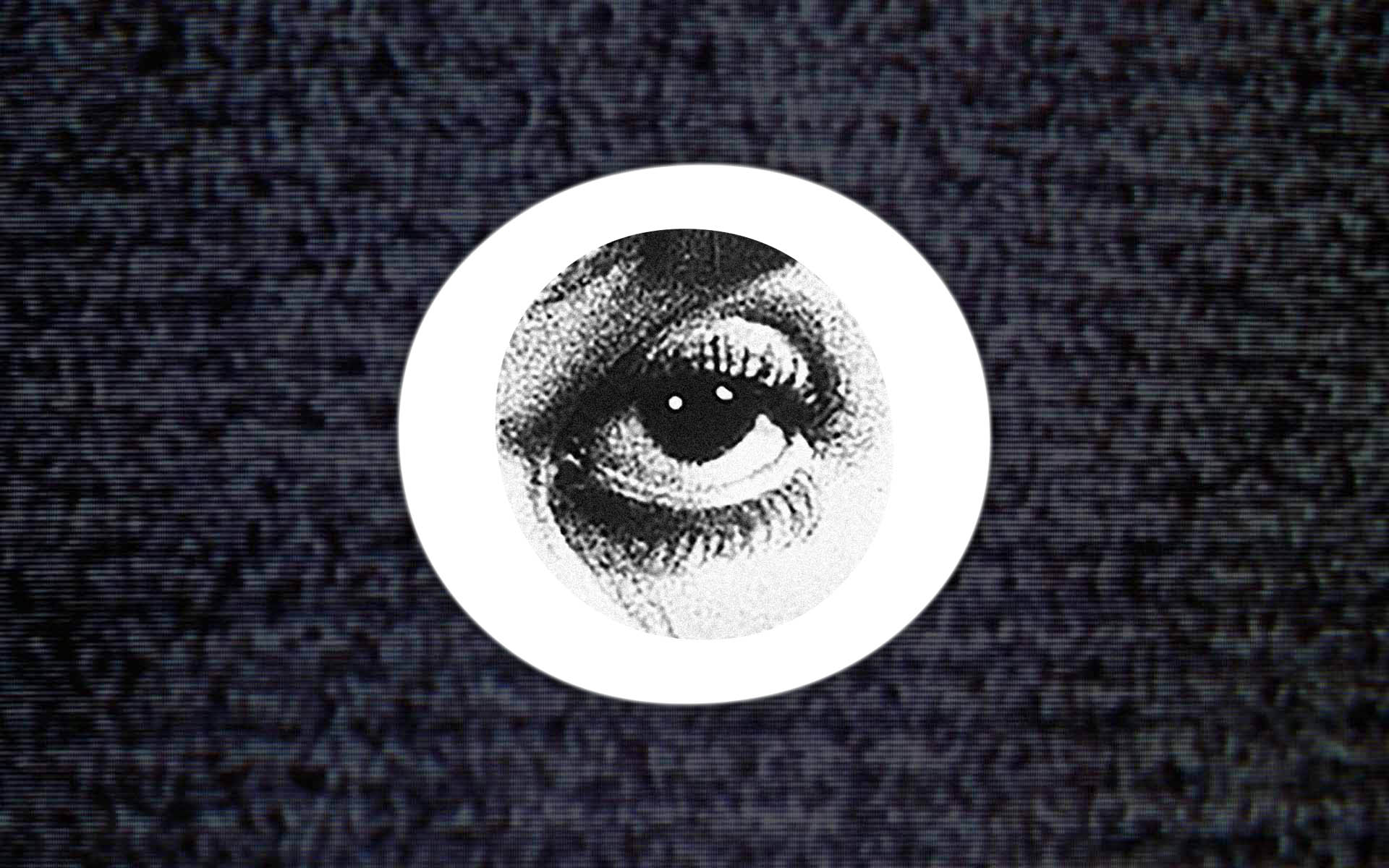 Torna il Cinema, torna MobyFlick.it